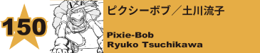 150. ピクシーボブ／土川流子
Pixie-Bob / Ryuko Tsuchikawa 