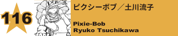 116. スケプティック／近属友保
Skeptic / Tomoyasu Chikazoku